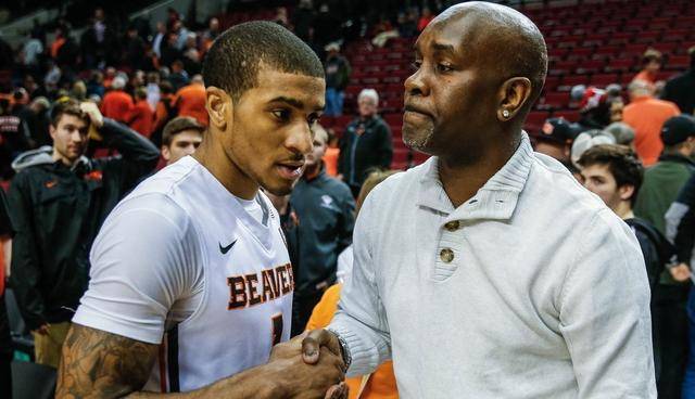 泽林斯基的 泽林斯基的