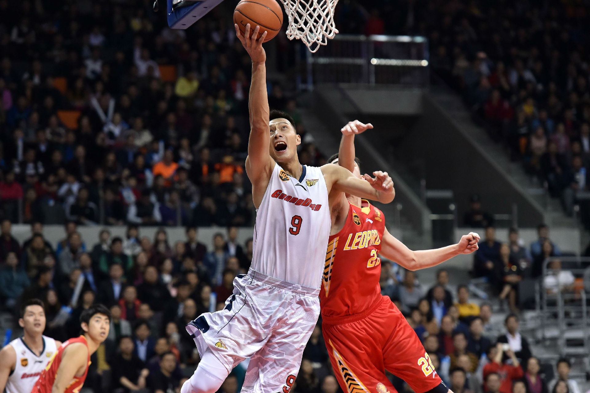 对球迷与赛 对球迷与赛